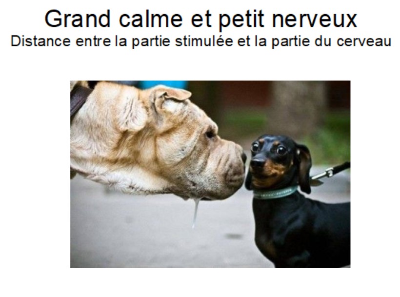 Produit